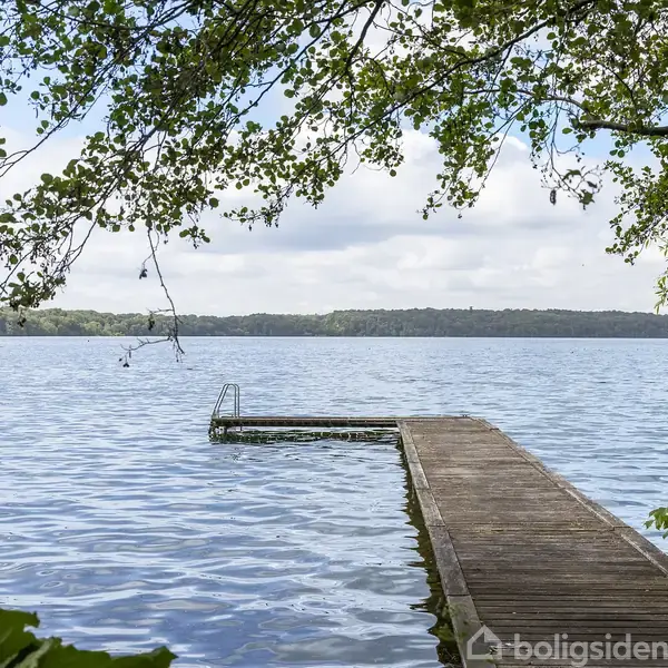 En træbrygge strækker sig ud over en rolig sø, omgivet af grønne træer. I baggrunden ses en skov horisonten under en let skyet himmel.