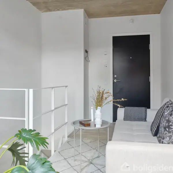 Sofa står i en stue ved et sort dør. På sofabordet ligger en vase med blomster. Rummet er lyst og minimalistisk indrettet med en grøn plante i forgrunden.