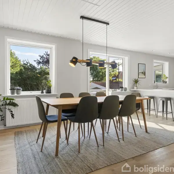 Spisebord med seks stole står på et tæppe i en lys spisestue. Store vinduer slipper naturligt lys ind, planter på gulvet og køkkenø med barstole i baggrunden.