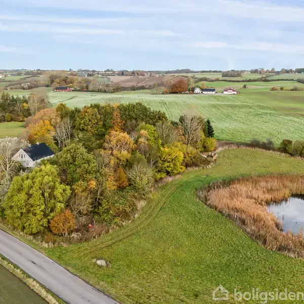 Hus skjult af træer omgivet af landlige marker. En lille dam med siv nær huset. Bygninger ses i det fjerne under en blå himmel.