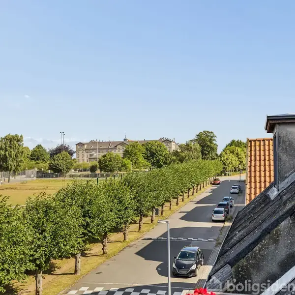Et hustag befinder sig ved siden af en træbeklædt allé med parkerede biler langs vejen. I baggrunden er der en park med grønne områder og træer.
