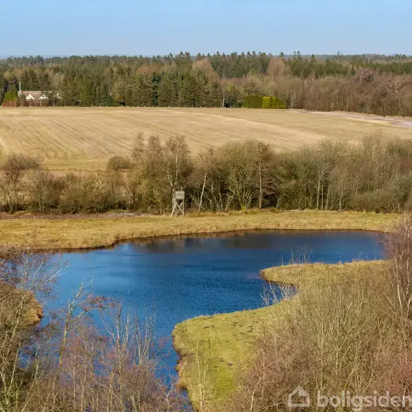 En lille sø ligger stille omgivet af marker og træer; en trætårn ses ved vandkanten. Landskabet strækker sig mod en skov i horisonten under en klar himmel.