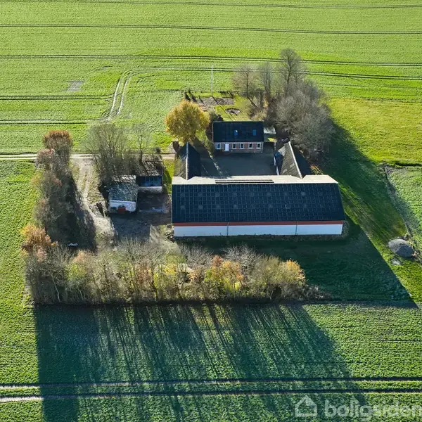 Et gårdkompleks set oppefra, omgivet af åbne marker. Gården består af flere bygninger med et træbeklædt område omkring. Området er afskærmet af en række af træer.