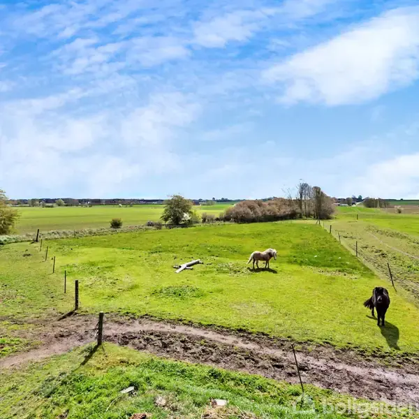 To heste græsser på en grøn mark omgivet af hegn. Et større landskab med spredte træer og blå himmel i baggrunden.
