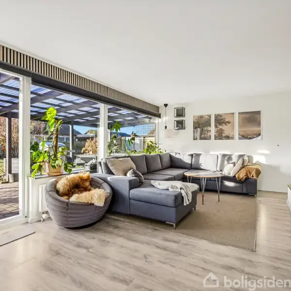 Et rummeligt stueområde med grå hjørnesofa og rundt sofabord. Store vinduer åbner ud til en terrasse og have. Grønne planter dekorerer rummet, som er lyst og indbydende.