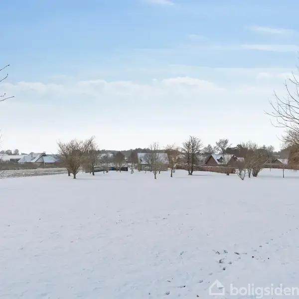 Sneklædt mark strækker sig med bare træer jævnt fordelt. I baggrunden ligger spredte huse langs horisonten under en klar, blå himmel.