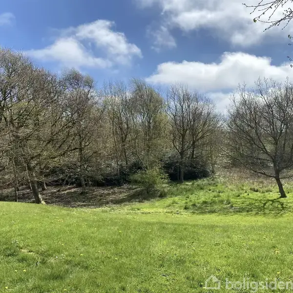 Grønt græs strækker sig til en træbevokset skovkant under spredte skyer på en blå himmel. Skovens træer står tæt og danner en frodig baggrund.