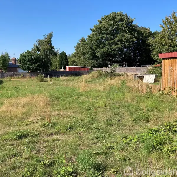Græsplæne med træstolpe i forgrunden, omgivet af højt græs og buske; bagved ses træer og hegn under en klar blå himmel.