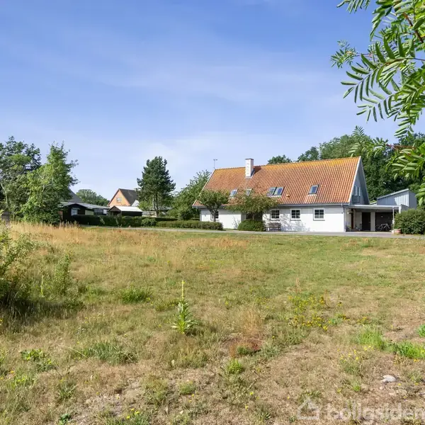 Et hvidt hus med rødt tag står stille i baggrunden, omgivet af en stor græsplæne med vilde planter og træer, under en klar blå himmel.