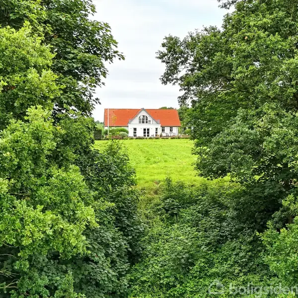 Hvidt hus med rødt tag står på en grøn bakke, omgivet af frodig skov. Det er set gennem en klar åbning mellem træerne.