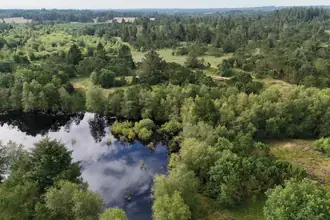 Villa på Sønderhedevej 13A, 6623 Vorbasse