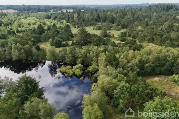 Skovejendom på Sønderhedevej 13A, 6623 Vorbasse