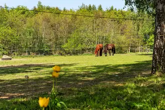 Landejendom på Vestergade 32, V Hæsinge, 5672 Broby