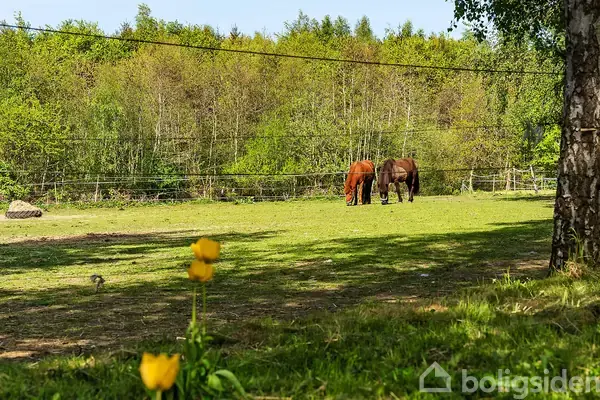 Landejendom på Vestergade 32, 5672 Broby