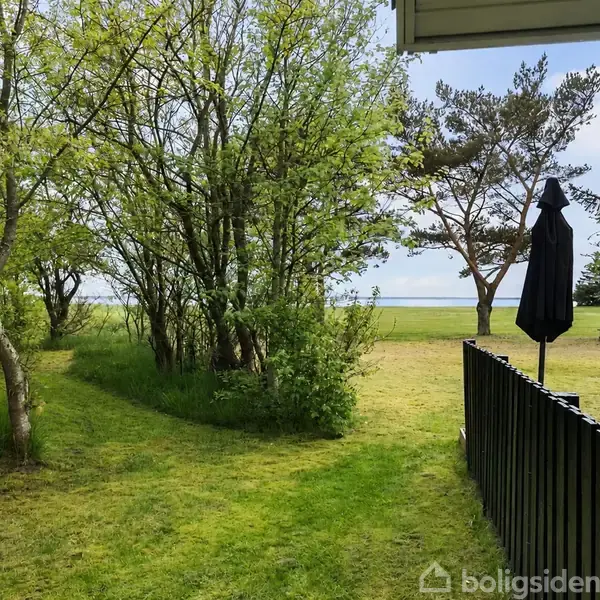 En græsplæne med spredte træer leder til havudsigt i baggrunden. En sort parasol står ved et hegn i højre side, der omkranser en terrasse.