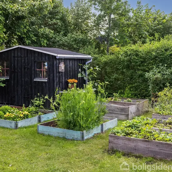 Sort skur står stille i frodig have med grønne buske. Foran er fire rektangulære højbede fyldt med forskellige grønne planter og blomster.