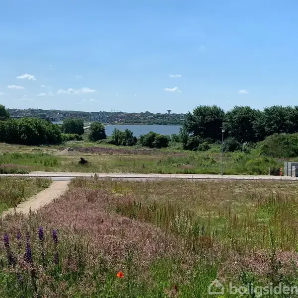 En grussti snor sig gennem en eng med vilde blomster, mens et blåt vandløb og frodige træer ligger i baggrunden under en klar blå himmel.