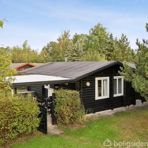 Et sort træhus står stille omgivet af frodig skov og buske. Huset har hvide vinduer og en lille veranda, der fører til en indgang. Grønt græs omkranser området.