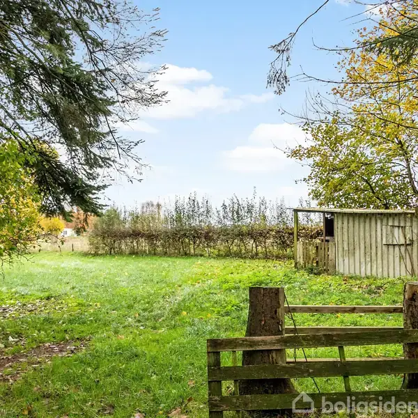 Græsplæne omgivet af træer og buske; et hegn og lille skur står til højre. Overskyet himmel giver en rolig stemning.