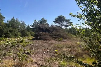 Fritidsgrund på Blåbærstien 84, Thorupstrand, 9690 Fjerritslev