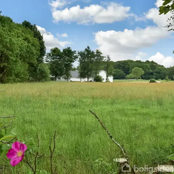 En græsmark med vilde blomster, en enkelt lyserød blomst forrest. I baggrunden er der en gruppe træer nær en hvid bygning under en blå himmel med skyer.