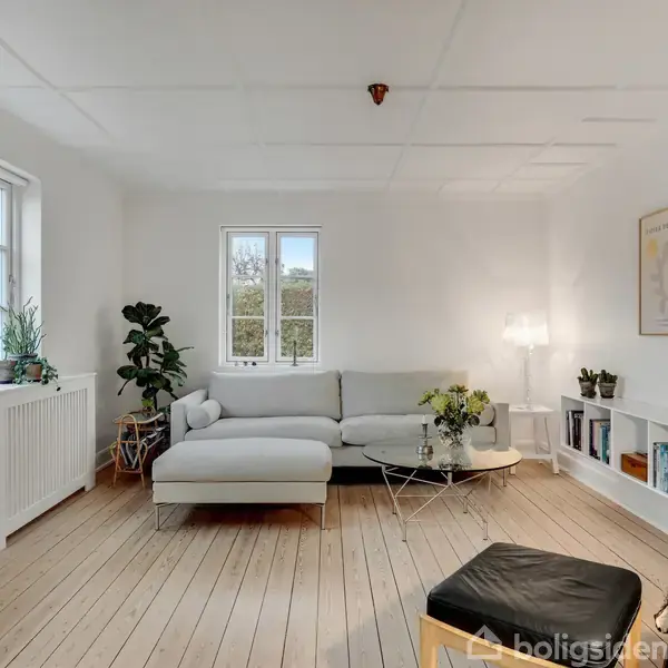 Grå sofa står i et lyst stue med trægulv, omgivet af grønne planter og kunst på væggen. Et rundt sofabord står foran sofaen, og en bogreol er til højre.