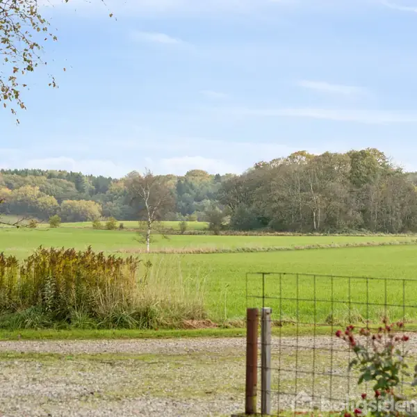En grøn mark omgivet af træer. Et hegn og en grussti er i forgrunden. Himmel og skov danner baggrundsscenen.