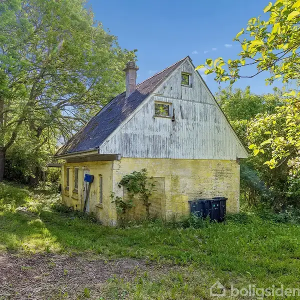 Et gammelt, gult hus står stille omgivet af frodig, grøn vegetation. Det har et mørkt tag, små vinduer og buske langs væggene. Sollys filtrerer gennem træerne.
