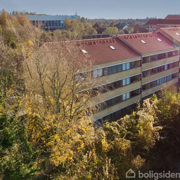 En lang bygning med rødt tag og mange vinduer står omkranset af træer med efterårsfarver, beliggende i et skovklædt område med andre bygninger i baggrunden.