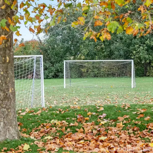 Fodboldmål står stille på en grøn græsplæne dækket af faldne blade. Et træ med orange og grønne blade rammer scenen, mens skov grænser op til engen.