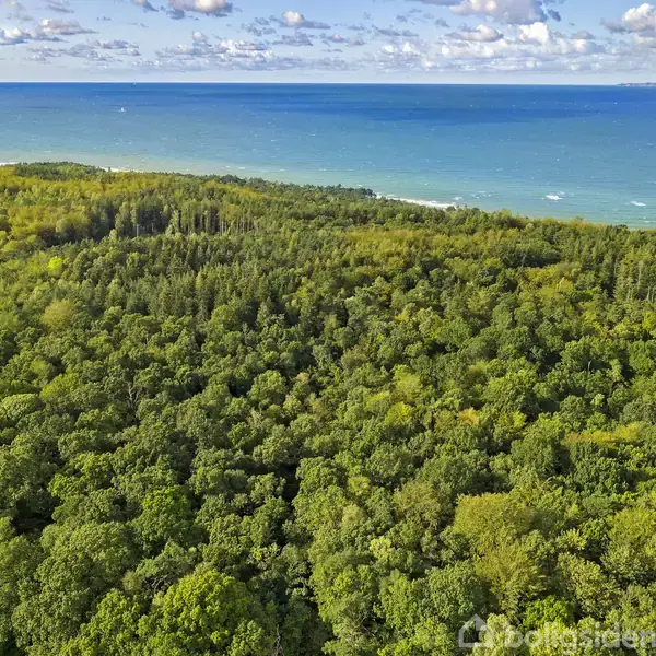 Skov dækker et stort landområde foran en blå havhorisont. Tæt vegetation fylder scenen, mens hvide skyer svæver over i en klar himmel.