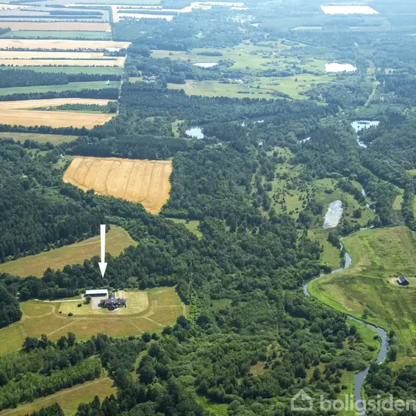 Luftfoto af et skovområde med en stor ejendom centralt placeret. En hvid pil peger ned på ejendommen, der er omringet af tætte træer og grøn vegetation.