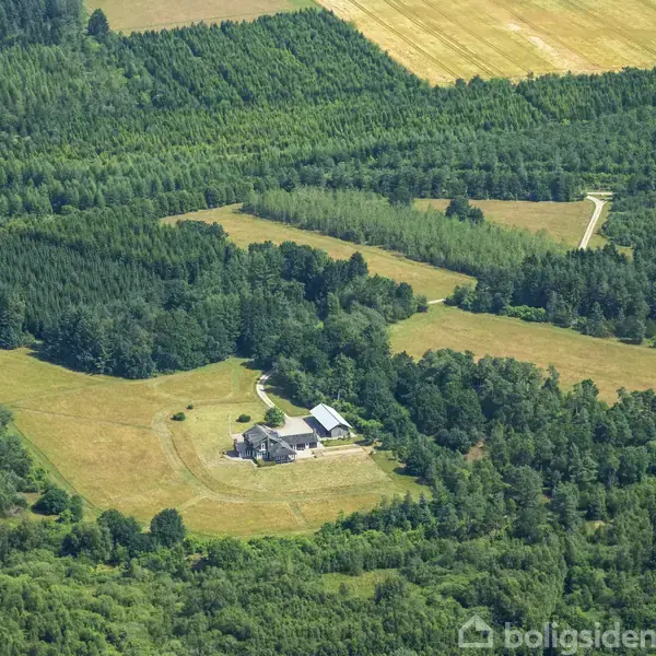 Luftfotografi viser et landskab med marker og skove. En hvid pil peger mod en ejendom omgivet af grønne områder og marker.
