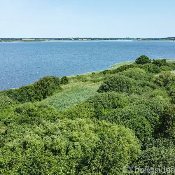 Sø med blåt vand omgivet af frodig, grøn vegetation og tætte buske, der strækker sig mod horisonten under en lys, klar himmel.