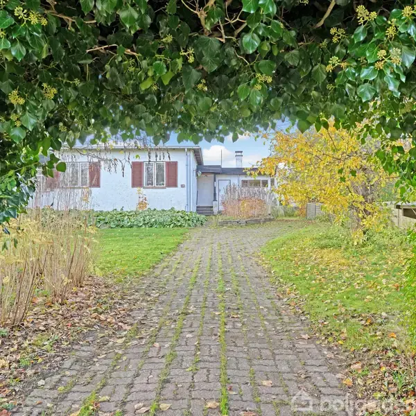Et hvidt hus står i baggrunden af en brostensbelagt sti, omkranset af grønne og gule planter. Forgrunden viser en bue af blade, der skaber en naturlig indgang.