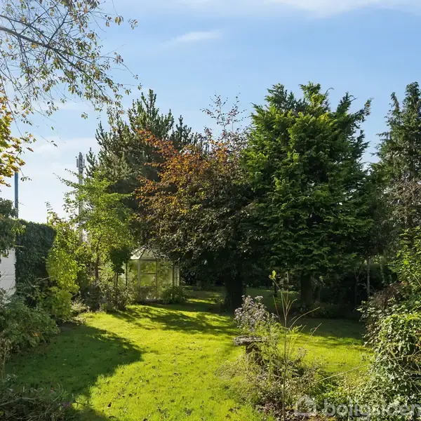 Grøn have med græsplæne og forskellige træer, der kaster skygger i sollys; i baggrunden ses et lille glaspavillon omkranset af tæt bevoksning.