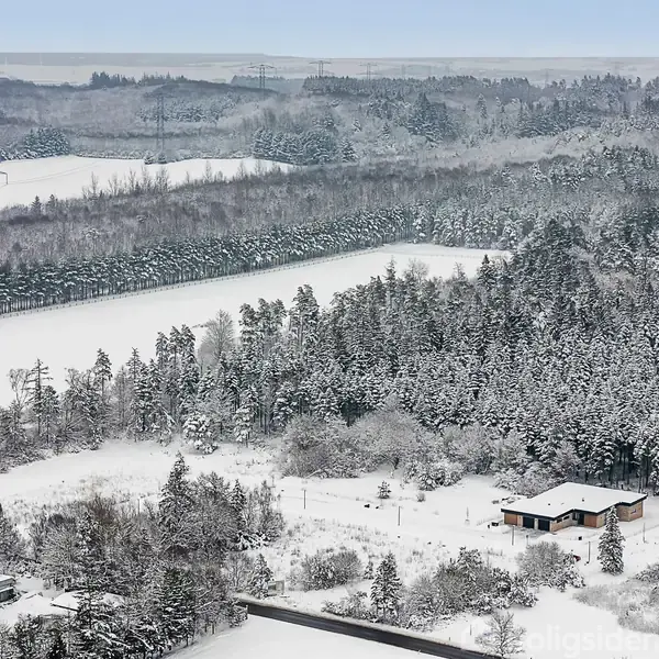 Et hus står i et snedækket landskab omgivet af skov og marker. Træer er dækket af sne, og horisonten viser flere skovområder under en grå himmel.