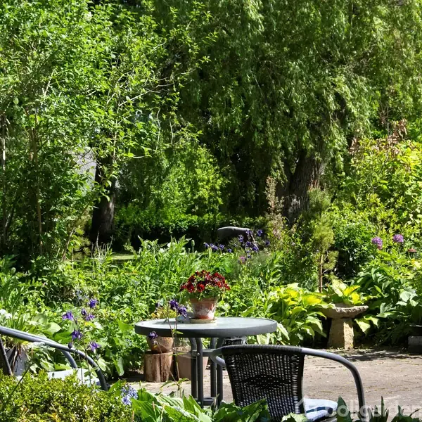 Et rundt bord med en blomst i en potte er omgivet af stole i en frodig have. Mange grønne planter og træer skaber en indbydende og afslappet atmosfære.