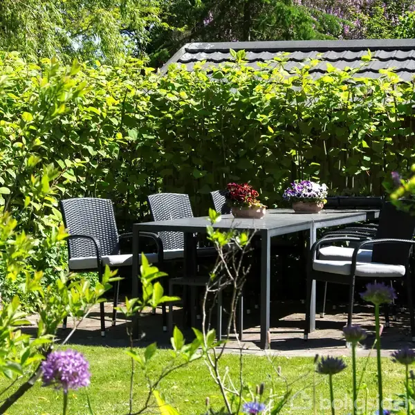 Et havesæt med sorte, fletstole står omkring et bord med blomsterdekorationer. Det er placeret på en terrasse omgivet af grønne hække og blomstrende planter i en solrig have.