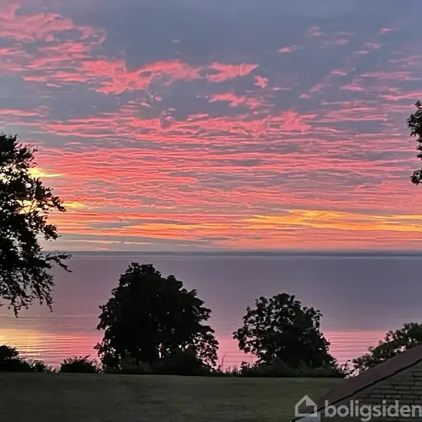 Solnedgang med lyserøde og orange skyer spejler sig i havet. Træer rammer horisonten, hvilket skaber en naturskøn udsigt over vandet i aftentimerne.