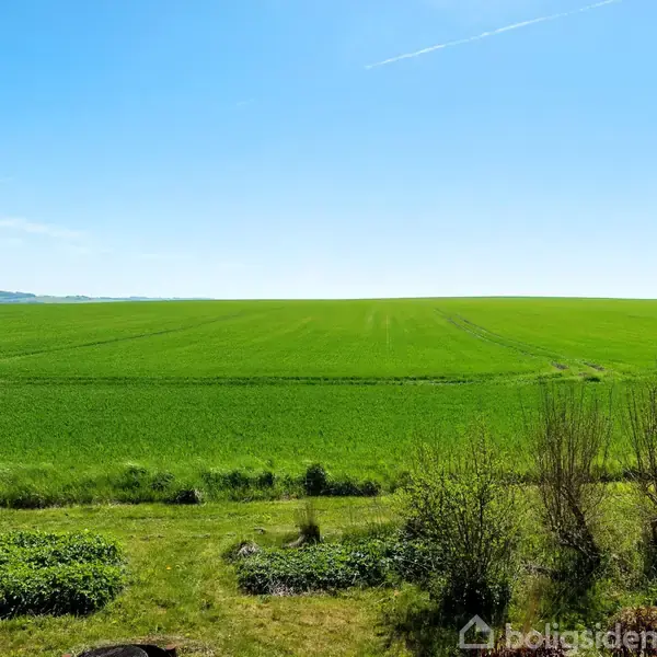 Grøn mark strækker sig uendeligt mod horisonten under en skyfri, blå himmel. Foran marken er der lav vegetation og buske. En jetstribe ses på himlen.