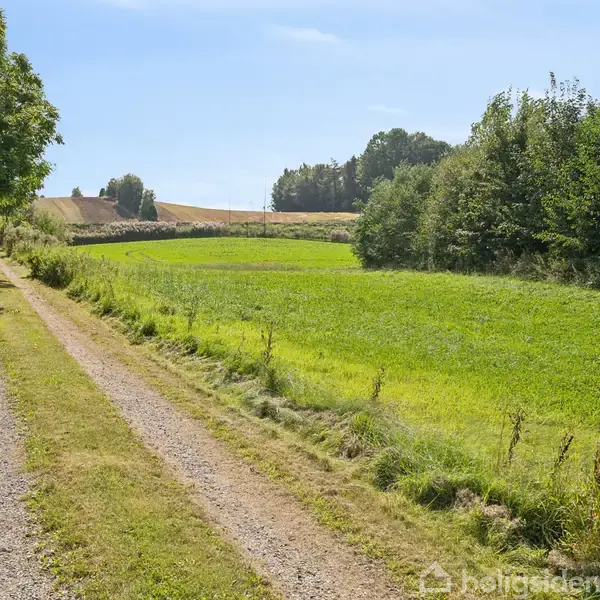 Grusvej strækker sig gennem landbrugslandskab, flankeret af grønne marker og skovbevoksede områder under en klar blå himmel.