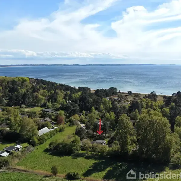 Landskab med grøn skov strækker sig mod en kystlinje ved havet. Huse er spredt blandt træerne, mens en rød pil peger mod et specifikt hus.