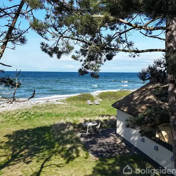 Et stråtækt hus står i skyggen af træer ved kysten, tæt på en strand med græs og to liggestole, mens havet bølger under en blå himmel.
