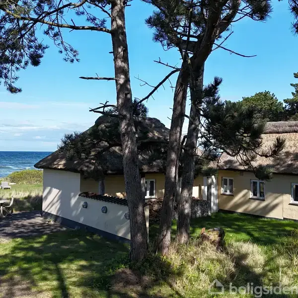Stråtækt hus stående blandt træer med udsigt til kysten, hvor havet strækker sig ud i det fjerne. Græs og skygger fra træer omgiver huset, mens et bord står i haven.