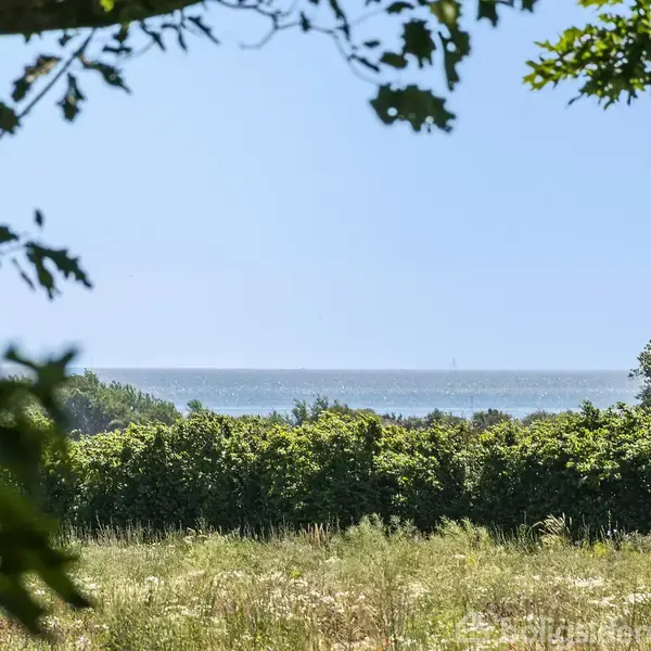 Græsareal med vilde blomster vokser i forgrunden; træer og buske omkranser området; i baggrunden ses havet under en klar blå himmel.
