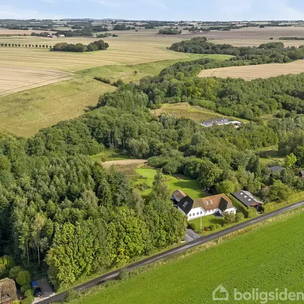 Hus beliggende blandt træer langs en vej, omgivet af marker og skov. Flere bygninger ses spredt i det grønne landskab, der strækker sig mod horisonten under en blå himmel.