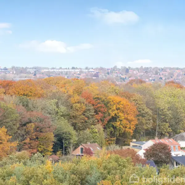 Skov fyldt med efterårstræer i orange og grønne nuancer, set ovenfra. Flere huse ligger i skovens udkant, med en by i det fjerne under en blå himmel.