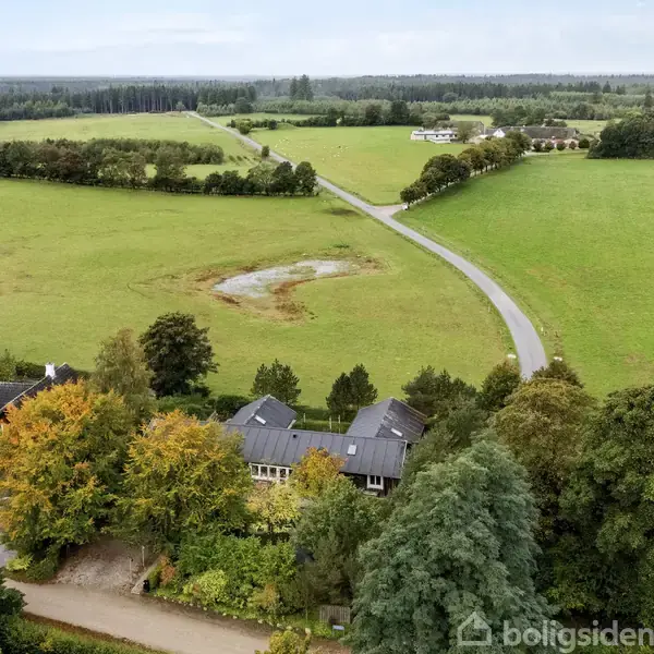 En række huse omgivet af træer ligger langs en smal vej, der strækker sig gennem et grønt landskab med marker og skov i baggrunden.