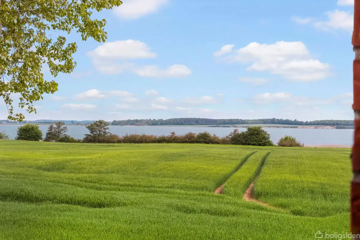 LIEBHAVER LANDEJENDOM MED PANORAMAUDSIGT TIL LILLEBÆLT - Visning 4